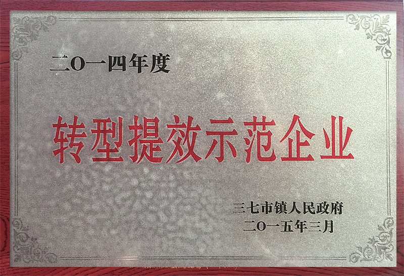 轉型提效示范企業
